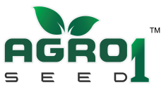 Agro 1 Seed